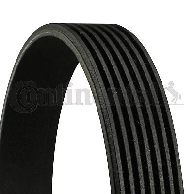 Ribbed belt for fiat - belt,