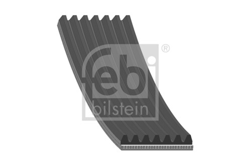 Ribbed belt for fiat - belt,
