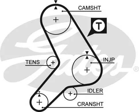 Timing belt 5281 - , for