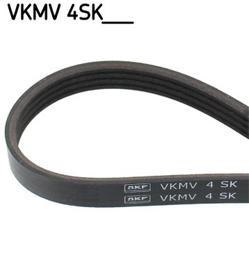 Ribbed belt for - belt, fiat